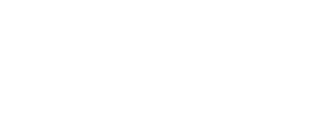 Blue Ridge Insurance Services - Logo 500 White